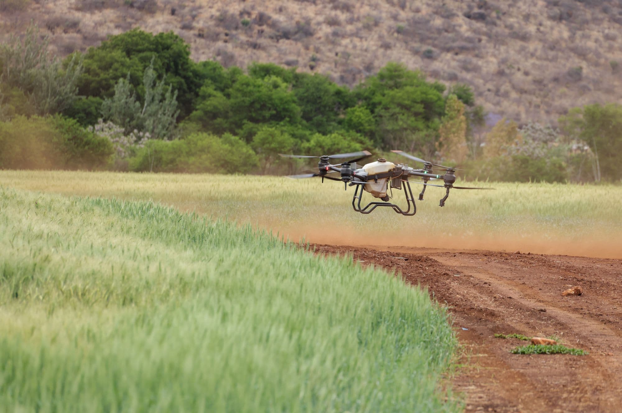 Agriculture / AgTech sector